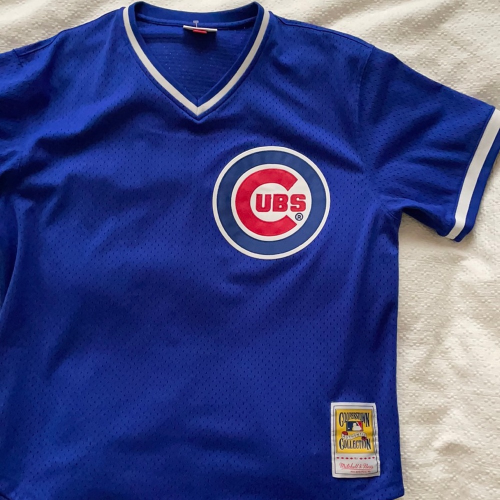 Ryne Sandberg Mitchell and Ness jersey